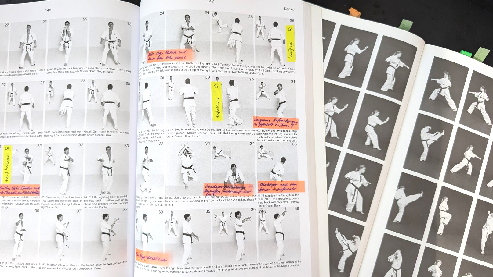 The dojoHUB team studying Kyokushin kata