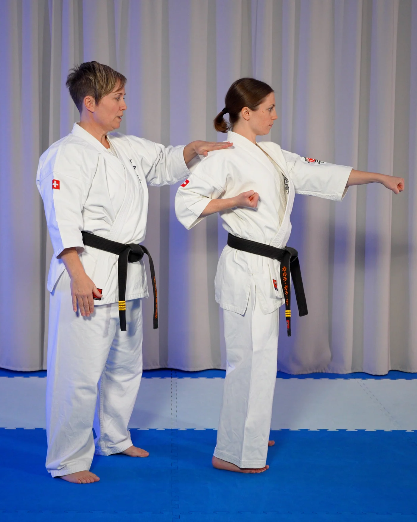 dojoHUB instructors in action