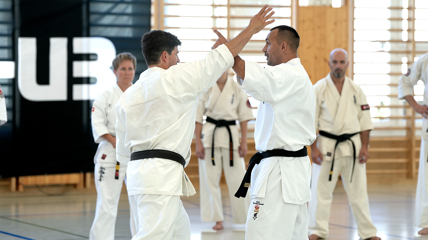 Gábor Rózsa Sensei guiding karateka through a partner exercise