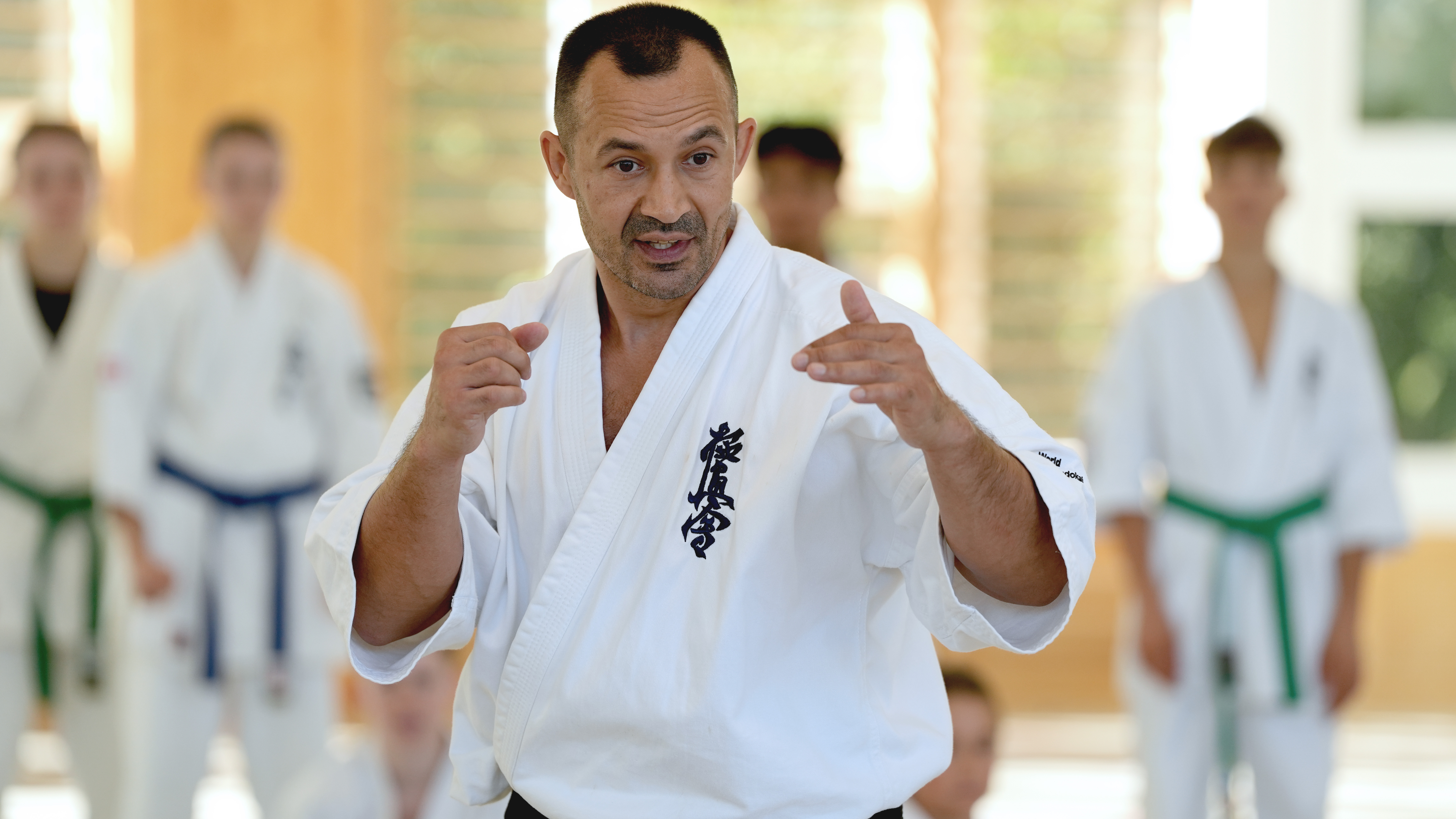 Gábor Rózsa Sensei explaining kumite principles to seminar participants