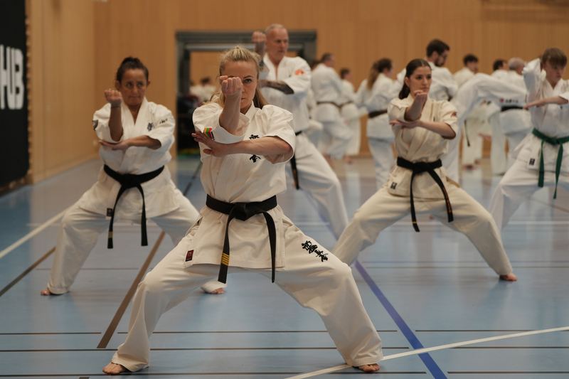 Karateka in a low stance during a kata sequence