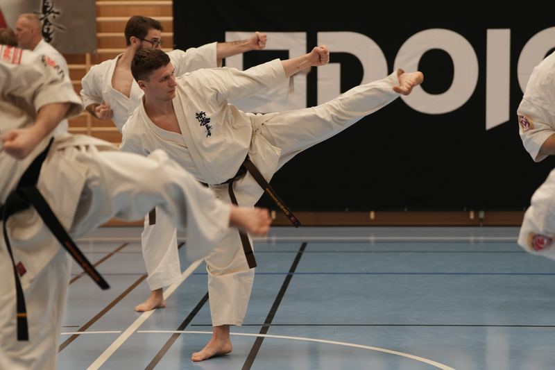Two karateka performing high kicks in front of the dojoHUB banner
