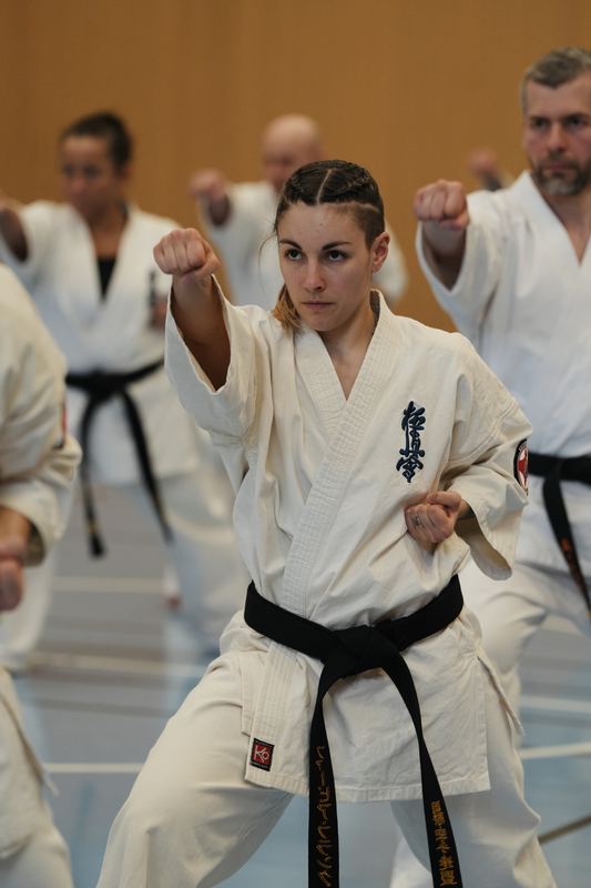 Karateka performing a punch
