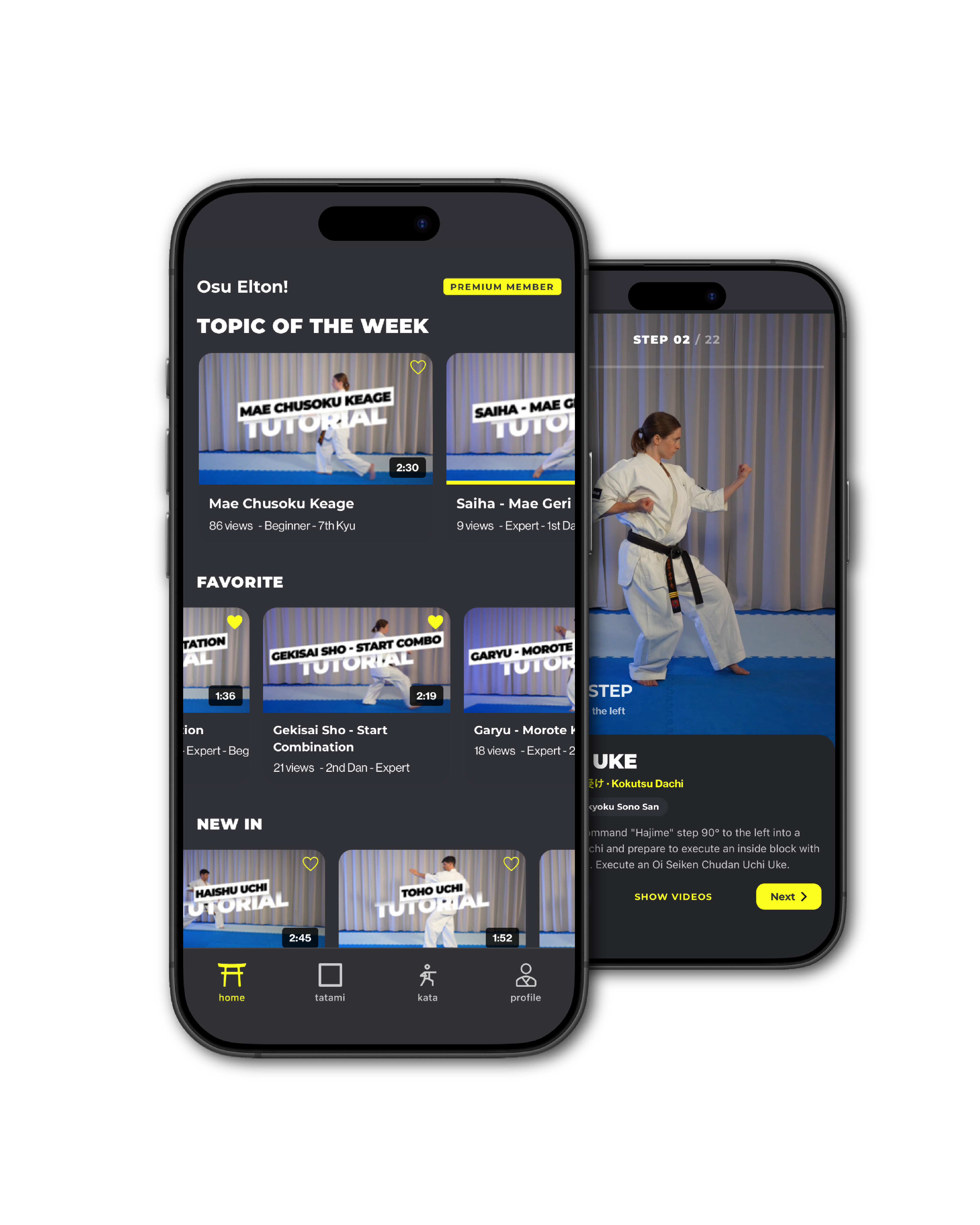 train Kyokushin karate with dojoHUB wherever you are