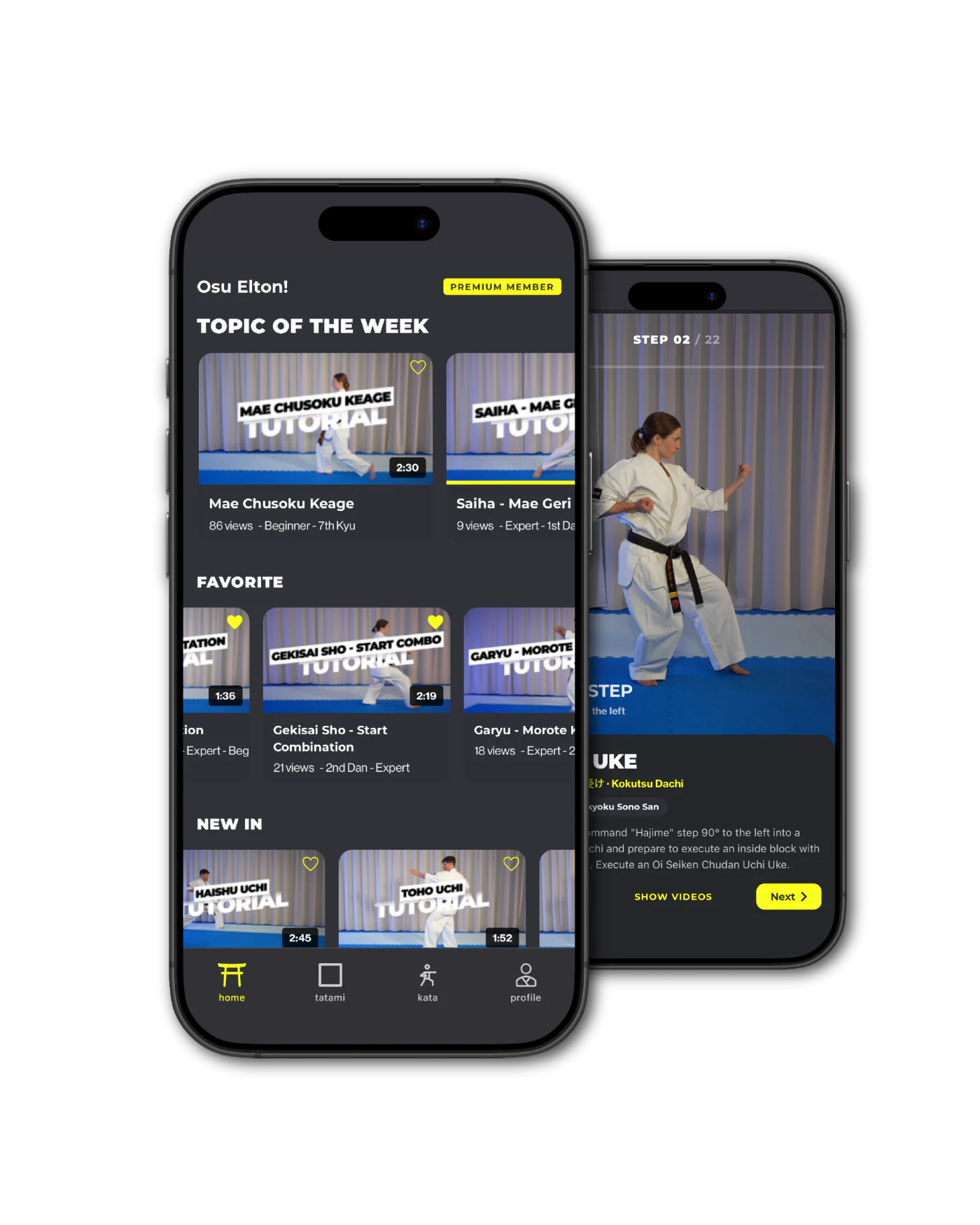 train Kyokushin karate with dojoHUB wherever you are