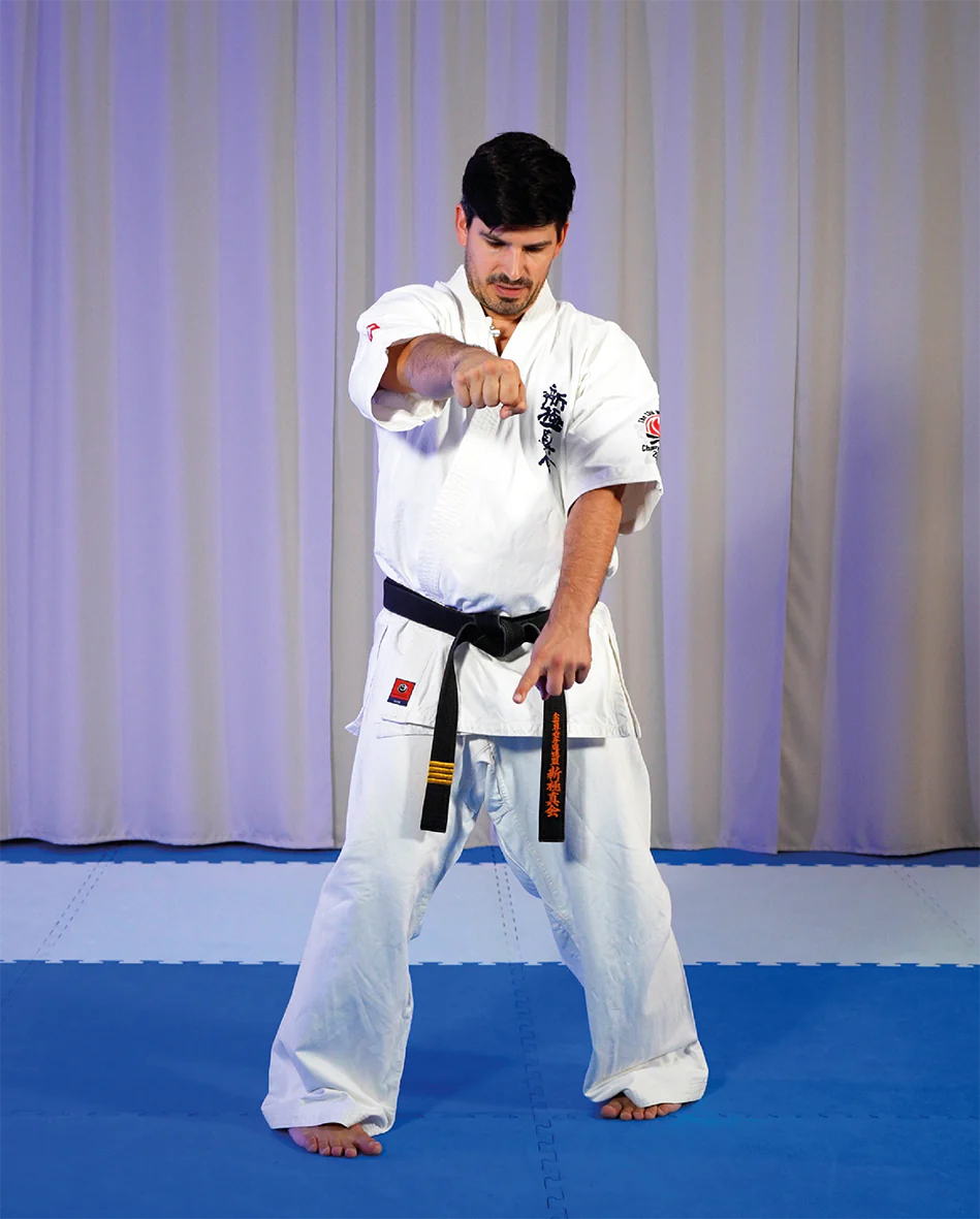 kihon tutorial snapshot